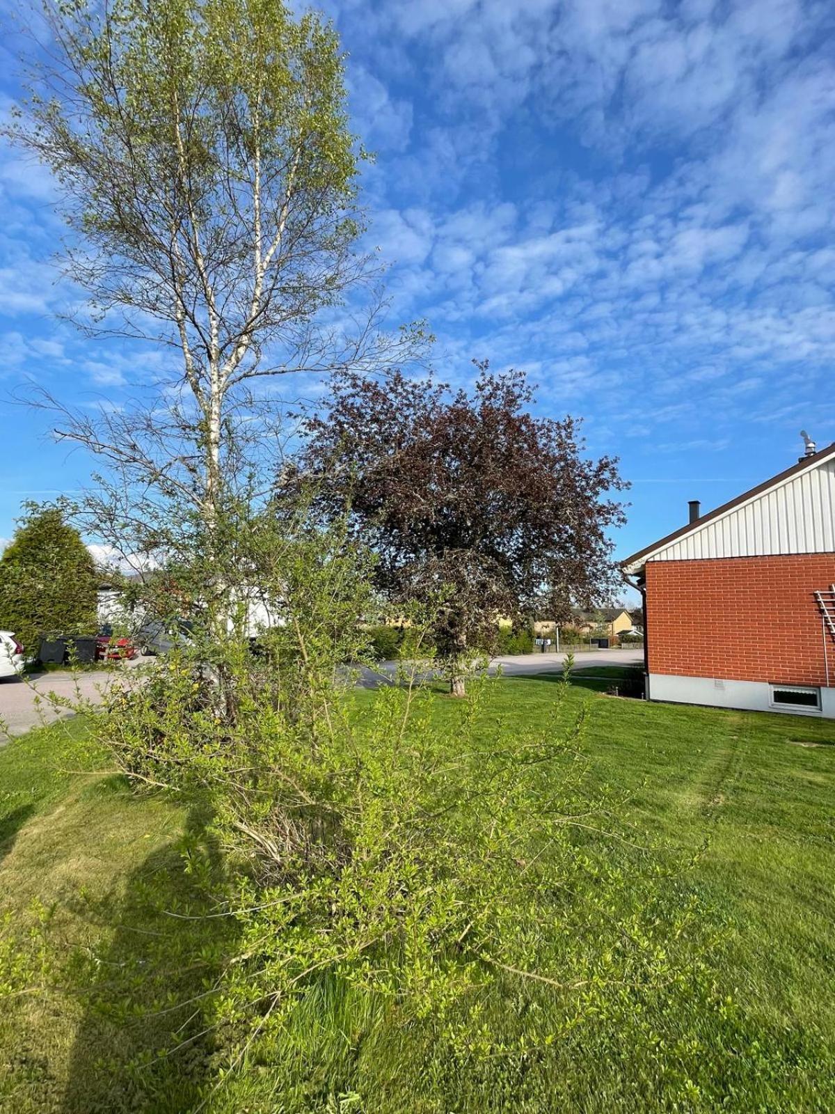 Modern 3 Bed Rooms In Almhult Close To Vaxjo Airport Kültér fotó